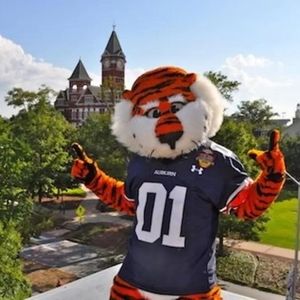 Meet your Posher, Bobbie